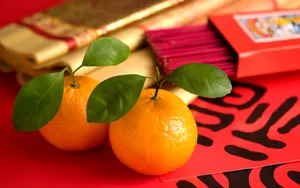 宽屏春节特辑 第四辑