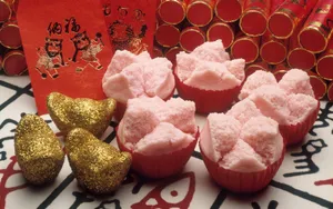 宽屏春节特辑 第四辑_2