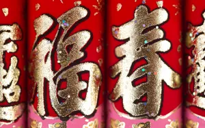 宽屏春节特辑 第四辑_16