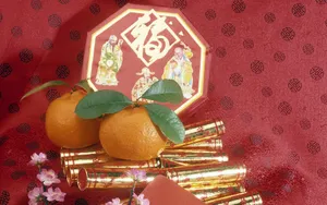宽屏春节特辑 第三辑_8