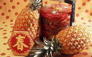 宽屏春节特辑 第三辑_9