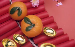 宽屏春节特辑 第三辑_14