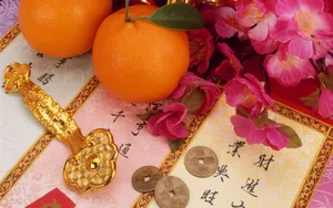 宽屏春节特辑 第三辑_16