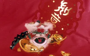 宽屏春节特辑 第二辑_2