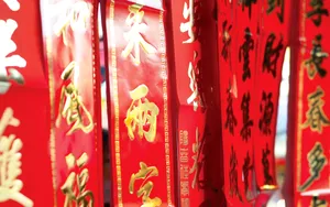 宽屏春节特辑 第二辑_5