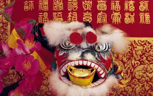宽屏春节特辑 第二辑_13
