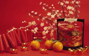 宽屏春节特辑 第二辑_19