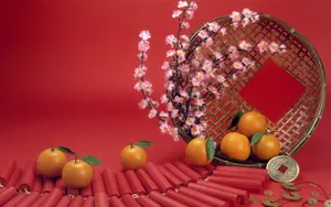 宽屏春节特辑 第一辑_19