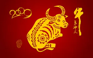 牛气冲天-宽 第二辑_14