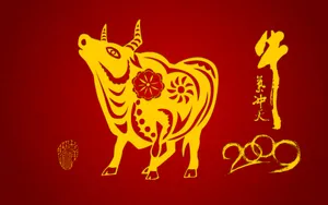 牛气冲天-宽 第二辑_18