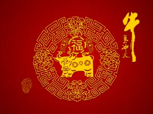 牛气冲天-普 第一辑