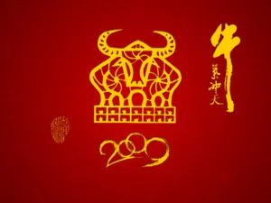 牛气冲天-普 第一辑_6