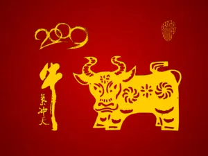 牛气冲天-普 第一辑_8