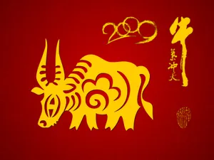 牛气冲天-普 第一辑_9