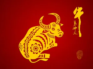 牛气冲天-普 第一辑_14