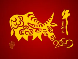 牛气冲天-普 第一辑_15