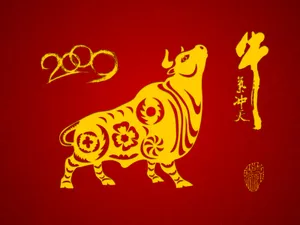牛气冲天-普 第一辑_19