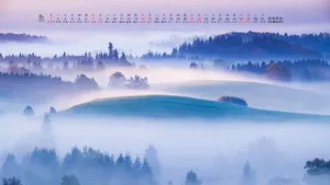 2021年8月日历桌面壁纸_11