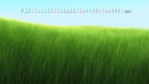2021年7月日历桌面壁纸_2
