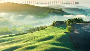 2021年1月日历桌面壁纸_8