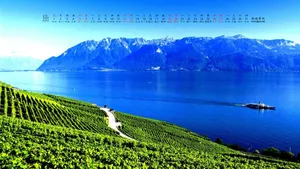 2020年12月日历桌面壁纸_8