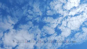 2020年6月日历桌面壁纸_10