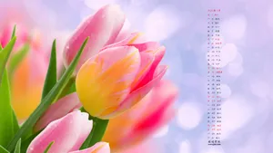 2020年3月日历桌面壁纸_18