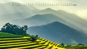 2020年1月日历桌面壁纸_7
