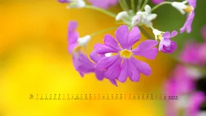 2019年9月日历桌面壁纸_11