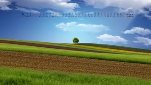 2019年8月日历桌面壁纸_3