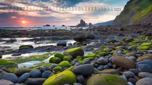 2019年7月日历桌面壁纸_4