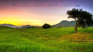 2019年6月日历桌面壁纸_9