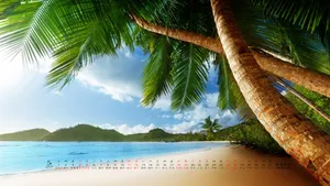 2019年5月日历桌面壁纸_2