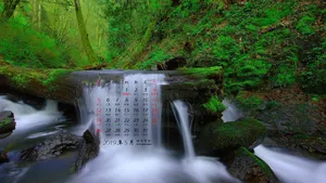 2019年5月日历桌面壁纸_10