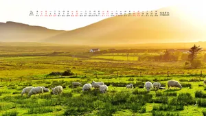 2019年2月日历桌面壁纸_9