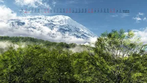 2018年7月日历桌面壁纸_6