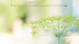 2018年6月日历桌面壁纸_19