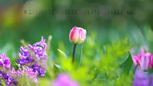2018年6月日历桌面壁纸_20