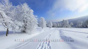 2018年2月日历桌面壁纸_6