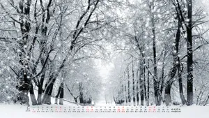 2018年1月日历桌面壁纸_11