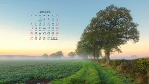 2017年8月日历桌面壁纸_3