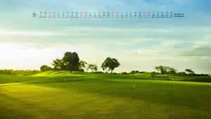 2017年6月日历桌面壁纸
