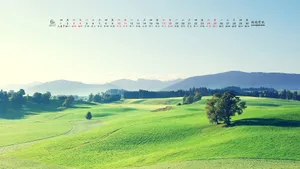 2017年6月日历桌面壁纸_6