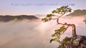 2017年3月日历桌面壁纸_3
