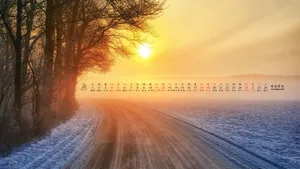 2017年2月日历桌面壁纸_1