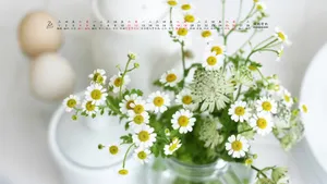 2017年2月日历桌面壁纸_20