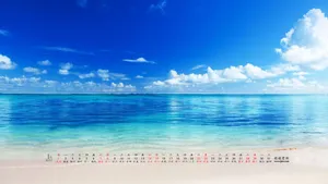 2017年1月日历桌面壁纸_5
