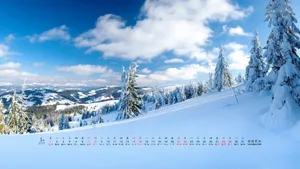 2017年1月日历桌面壁纸_6