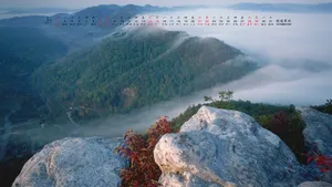 2017年1月日历桌面壁纸_9