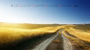 2016年12月日历桌面壁纸